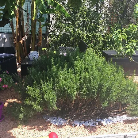 Narciso - Apartamento *